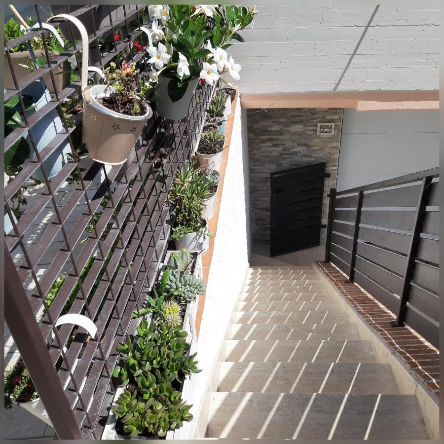 B&B Sirolo My House Buitenkant foto